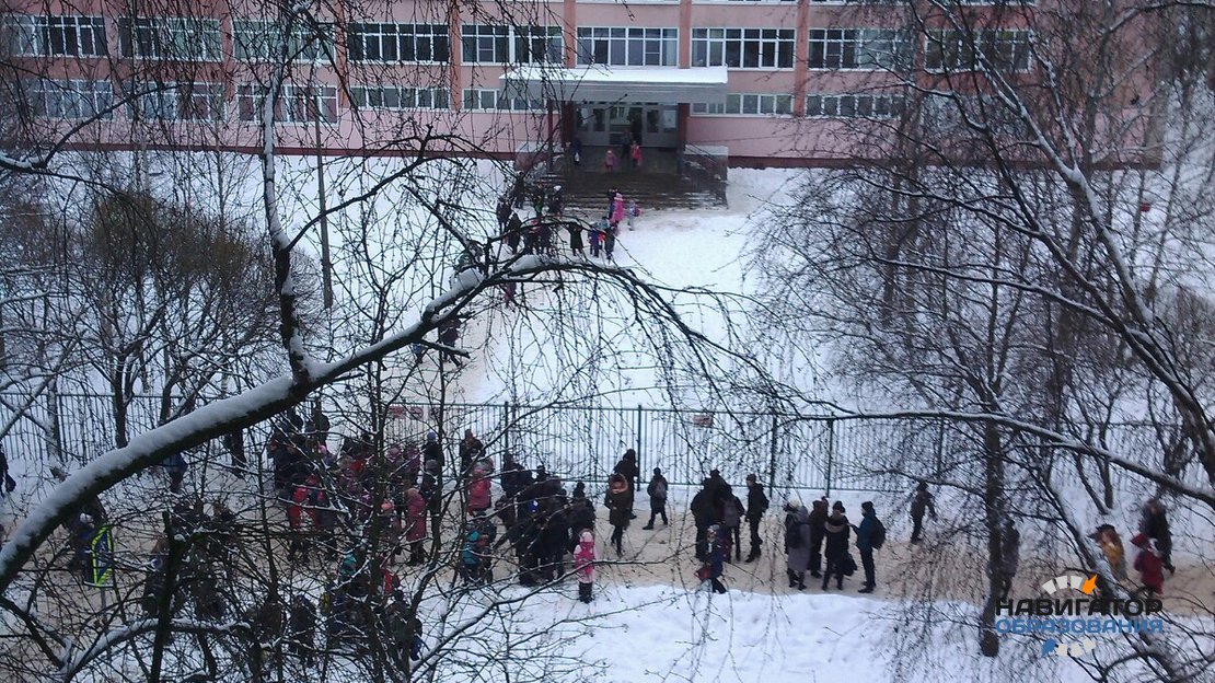 Школы Великого Новгорода закрыли из-за звонков о минировании
