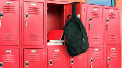 В Госдуме предложили установить в школах индивидуальные шкафчики для личных вещей учеников