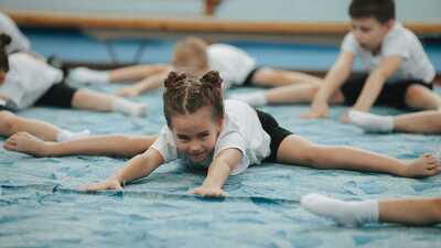 О введении в школах спортивной гимнастики и разработке просветительских программ для родителей