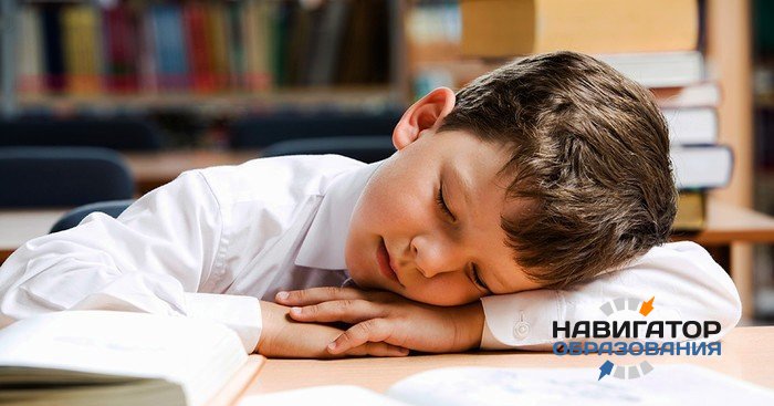 Память ребёнка улучшают поощрение и дневной сон