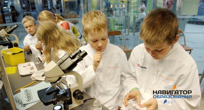 В России появятся площадки для обучения школьников биотехнологиям и медицине