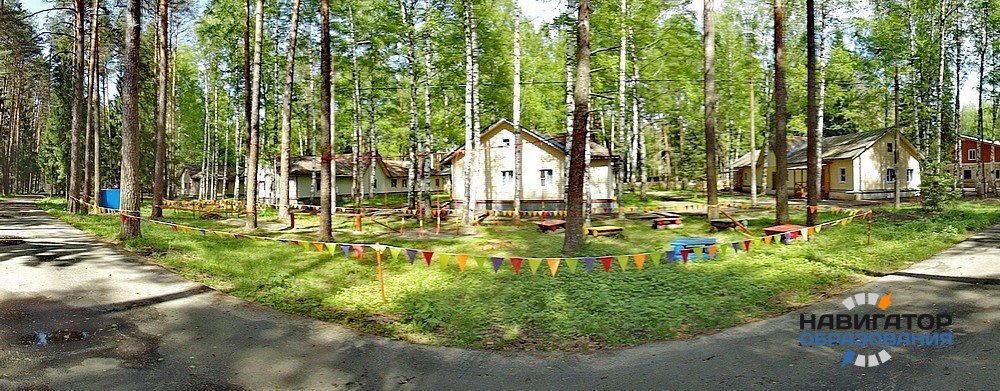 В России приостановили работу 13 несанкционированных летних лагерей