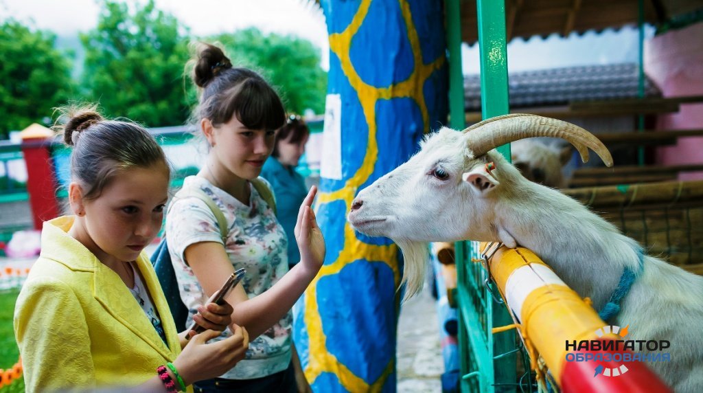 ОП РФ предложила проводить в школах занятия по гуманному обращению к животным