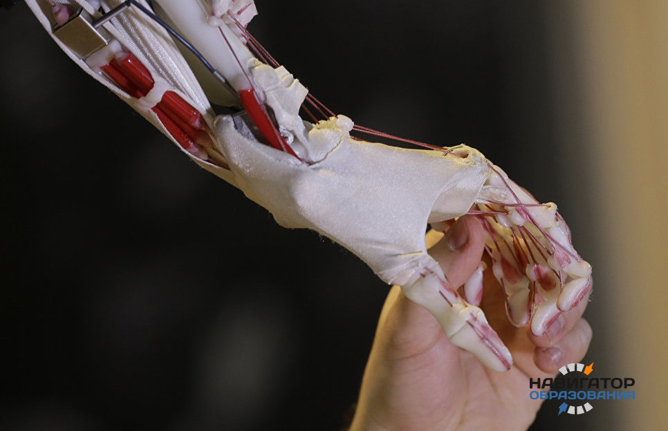 Ученые НИТУ «МИСиС» создали материал для искусственных мышц и суставов