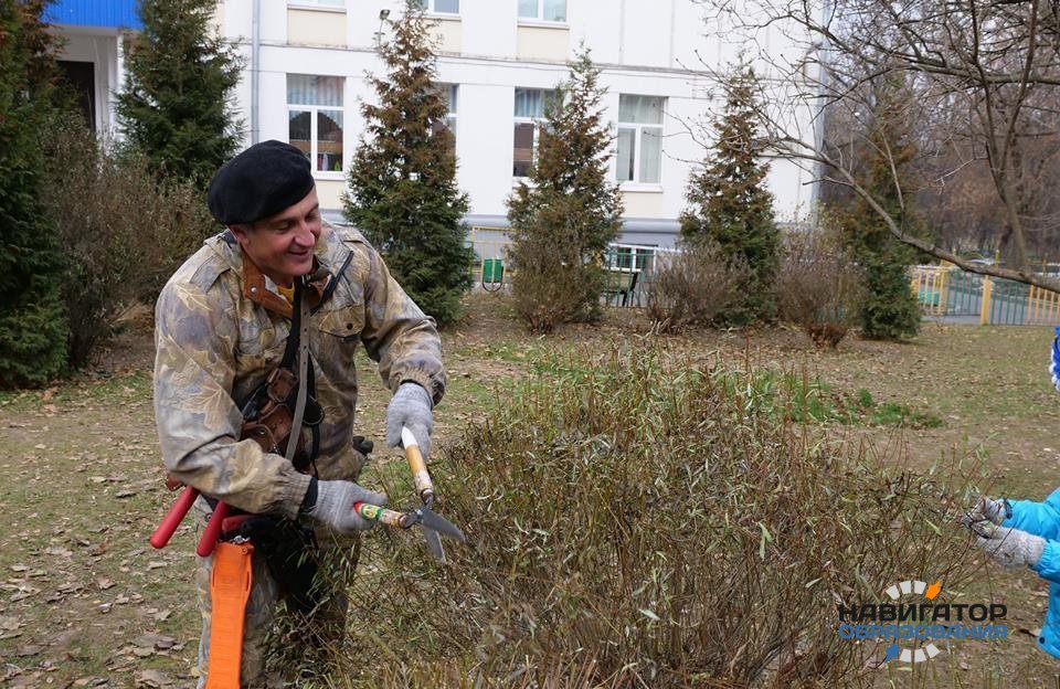 Деревья и кустарники на школьном дворе подстригли по-французски