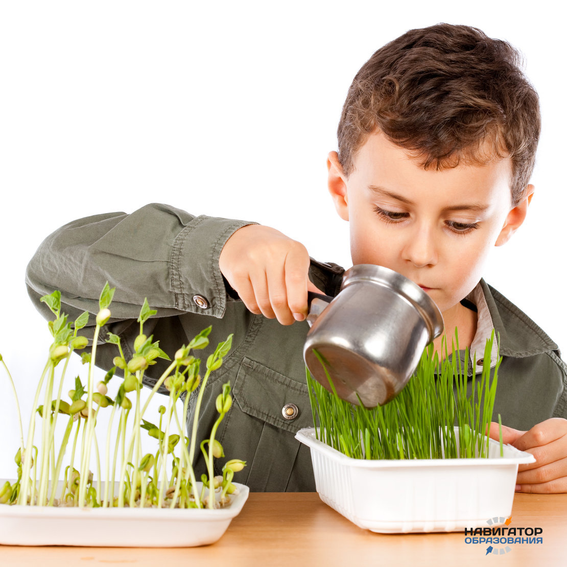 Вырасти профессионально. Растения для детей. Школьники и растения. Дети и микрозелень. Ребенок с микрозеленью.