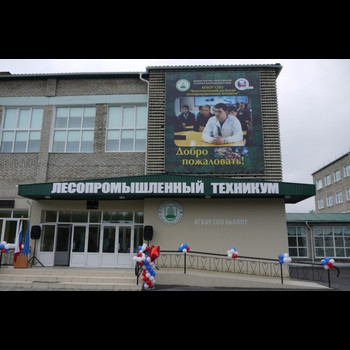 Колледж Краевое государственное бюджетное образовательное учреждение среднего профессионального образования "Комсомольский-на-Амуре лесопромышленный техникум"